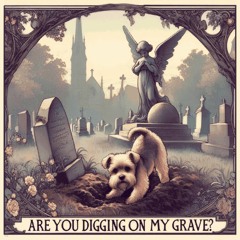 Are You Digging on My Grave? (Micky Remix)