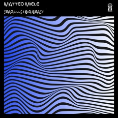 PREMIERE: Matteo Miele - Big Beast (Frankie Vertigo Remix) [My Secret Agenda]