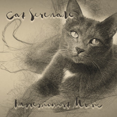 CatSerenade