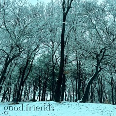 good friends - hailey m