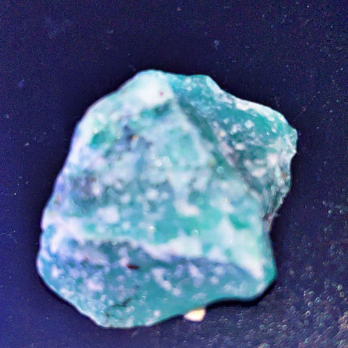 POSTED (prod. GREY MI$FIT)