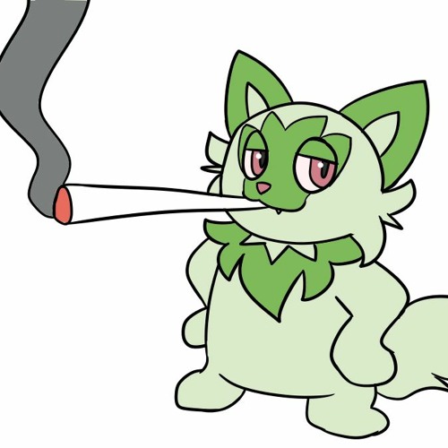 light sleepr's catalog