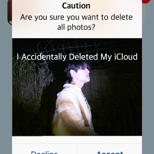 I Accidentally Deleted My iCloud