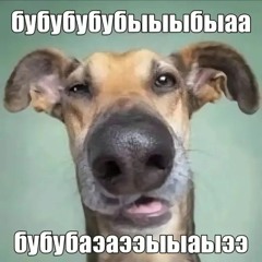 ОБОИ КЛЕШ РОЯЛЬ×ЧЕРЕПАШКИ НИНДЗЯ