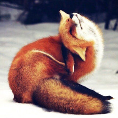 Animal in me [sped up]