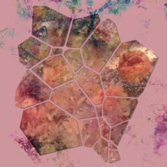 Glass Garden 013 | kora — Beneath the Lavender Sky