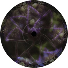 B1.  Alineat - Get Checked