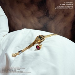 4. Sr.Wilson - Shaolin Acapella
