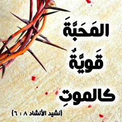 مجدًا لمن في وسطنا - خدمة السماء على الأرض - مصر