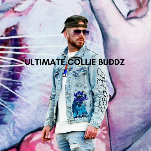 Ultimate Collie Buddz
