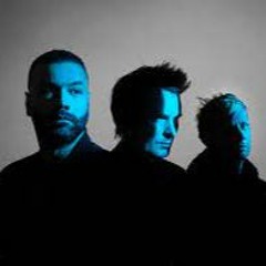 Muse - We Are Fucking Fucked [Voice and Guitar Cover]