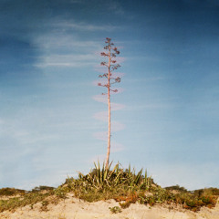 PREMIERE: Shafkkat - Pick Me Up [Blank Dust]