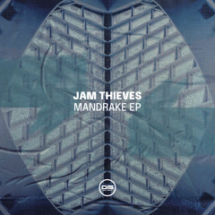 Jam Thieves - Mind Control - Dispatch Recordings 173 - OUT NOW