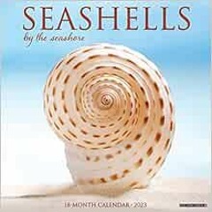 [GET] EBOOK ✅ Seashells 2023 Wall Calendar by Willow Creek Press EBOOK EPUB KINDLE PD