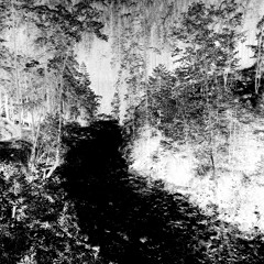 ..., and so out of darkness i create.