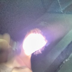 Hadcore Women Do It The Trans Way