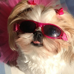 No Doubt - Don't Speak (Coco belly remix)