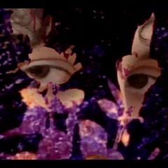 веселые улыбки // капитанауроро ремикс