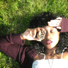 ok, where do i start?