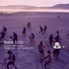 Mark Slee - Robot Heart 10 Year Anniversary - Burning Man 2017