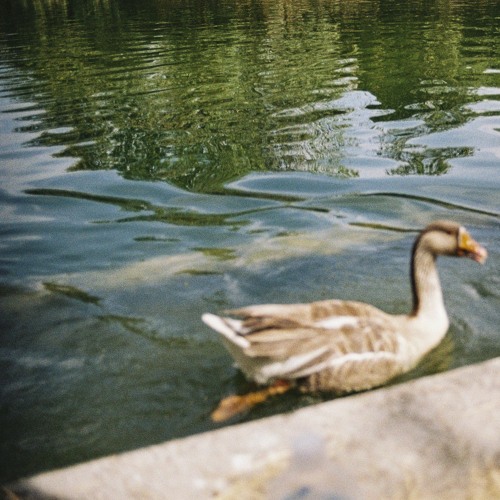 lo que estoy escuchando ahora