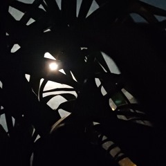 Proposition Instrumentale 2