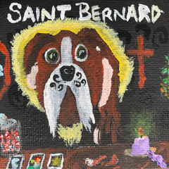 Saint Bernard 2