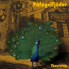 Påfågelfjäder (feat. Marica Lindé, Wojtek Goral & Wille Crafoord)