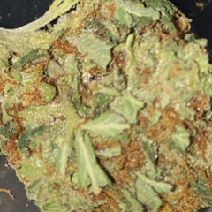 AnnenMayKantereit - Schon Krass (Guitar Cover)