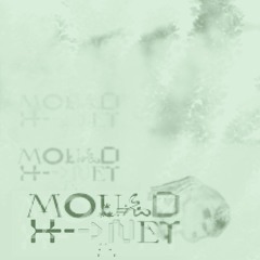 Mould Net (Mould Net OST)