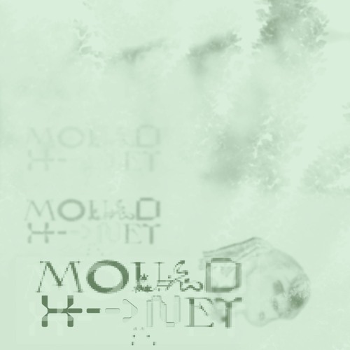 Mould Net (Mould Net OST)