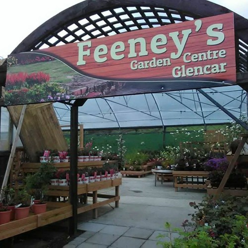 Listen to playlists featuring Keeping your evergreens green In The