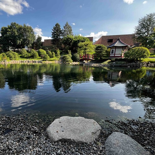 We all have it (Maja)