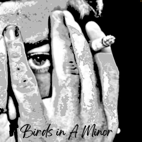 Birds in A Minor - the sauce