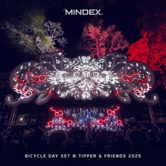 Bicycle Day Set @ Tipper & Friends 2025 (Bandcamp DOWNLOAD)