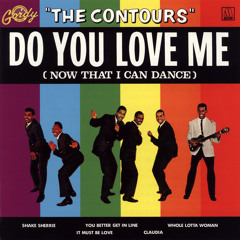 Do You Love Me (Mono Single)