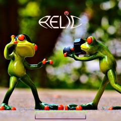 Until The Night Ends