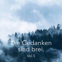 Die Gedanken sind brei. Vol.5