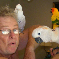 only interested in (furby)