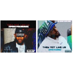 They Not Like Us x Dj Asap CHE (Ave Gee) #PHILLYCLUBMIX