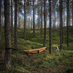 Stretching & Yawning #9