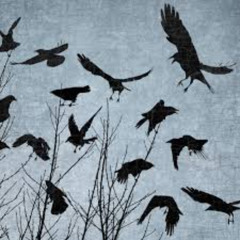 "im like a bird" L1wolf remix