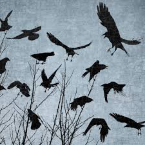 "im like a bird" L1wolf remix