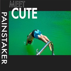 Painstaker