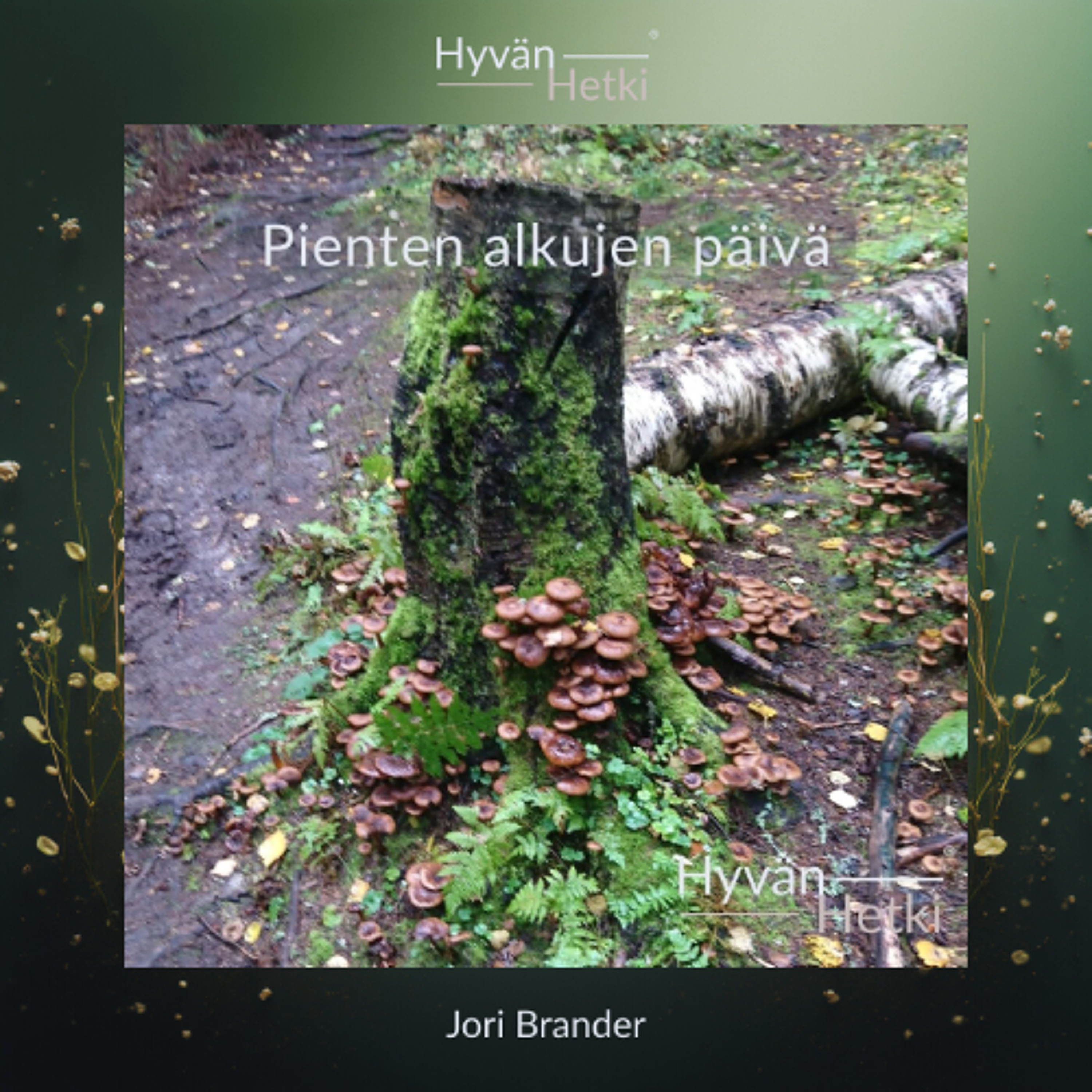 Pienten alkujen päivä (01.02.2026) episode artwork