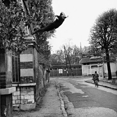 Redkick- ØzVetek - FLY