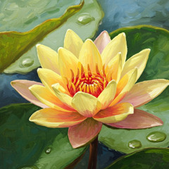 Nothing Can Stop Me Now