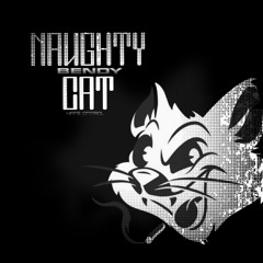 NAUGHTY CAT
