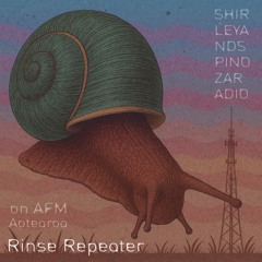 guest mixes by s&S Radio on other stations