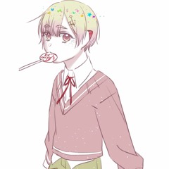 【コンチェトCotton】 ドライドライフラワー 【VB RELEASE】